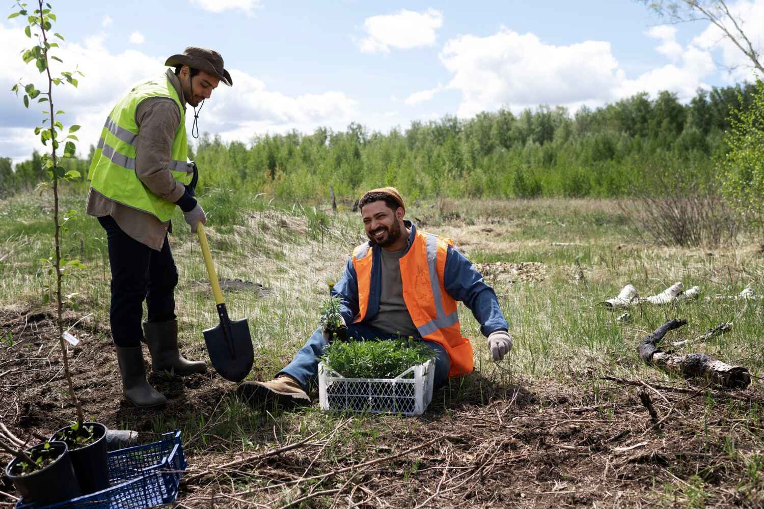 Professional Tree Service in Green Valley, SD